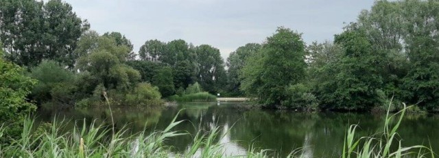 oosterpark.jpg