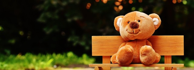 Teddy bear